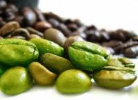 Linea Caffè Verde e Caffè Verde Plus Erbamea AGHD Srl